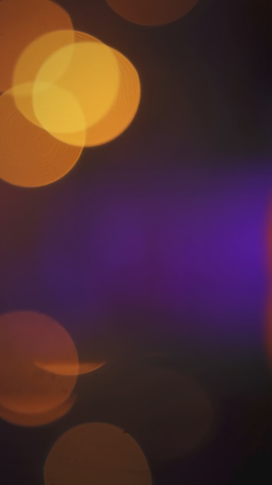 Cat in Pumpkin Costume Ice Cream Holder - Halloween Ben & Jerry's Pint Holder